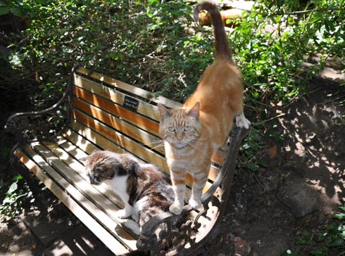 Thomas taking an interest in the camera